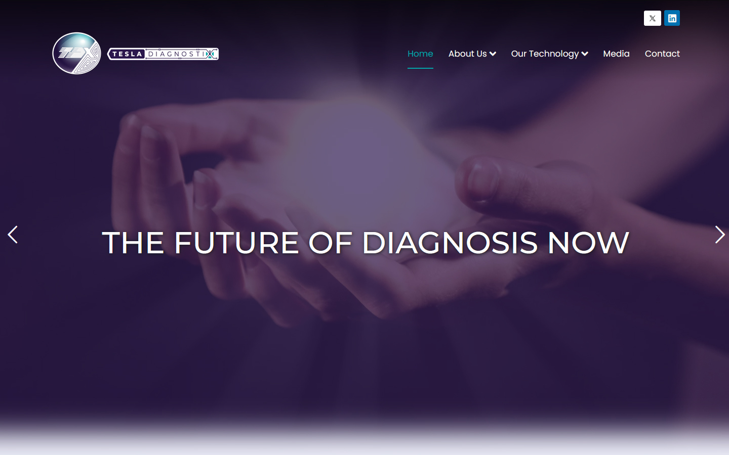 Tesla Diagnostix